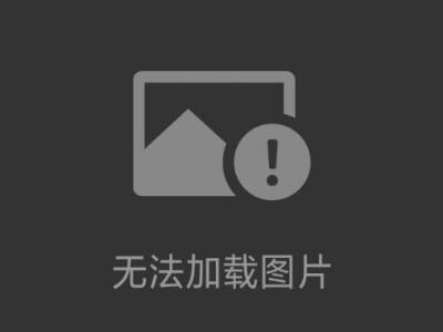 汽車衡廠家排名